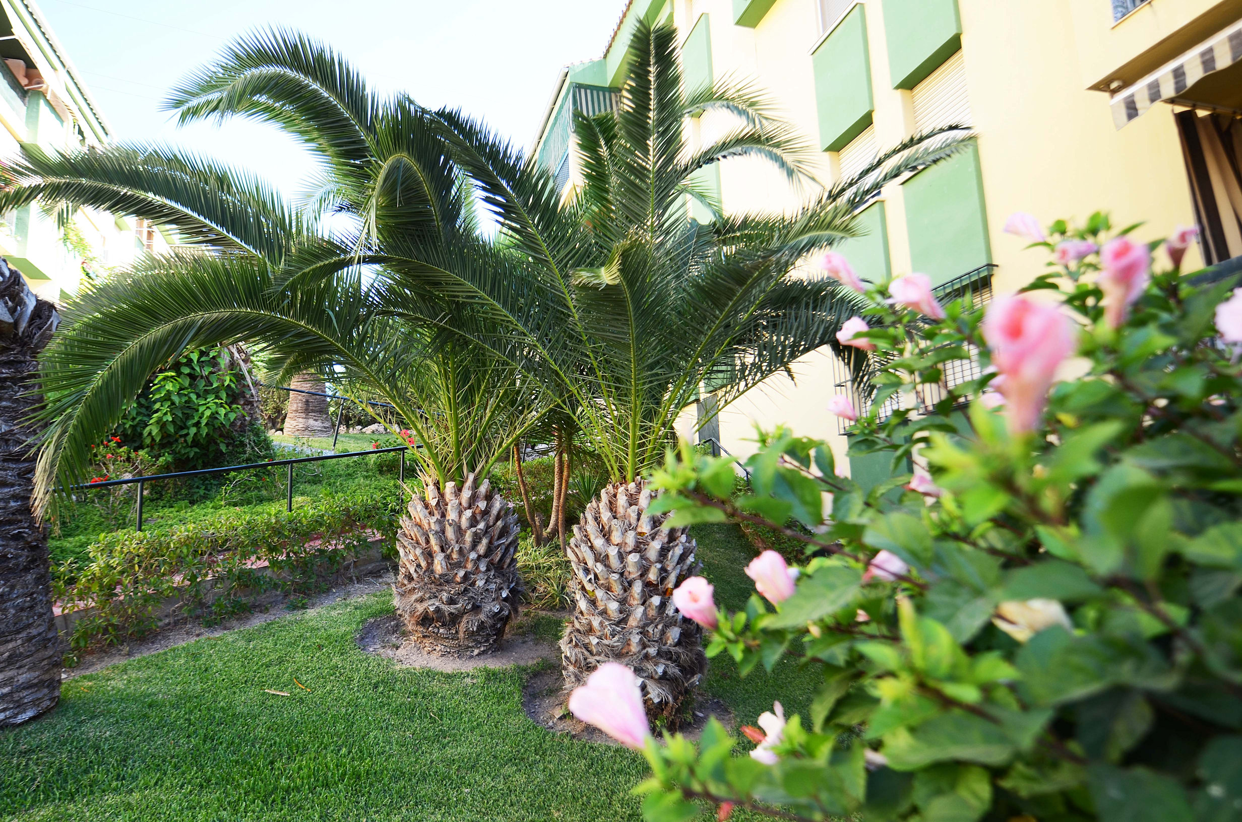 Apartment for rent in Rincón de la Victoria